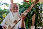 98-year-old pioneer turns poor village into Vietnam’s agarwood hub